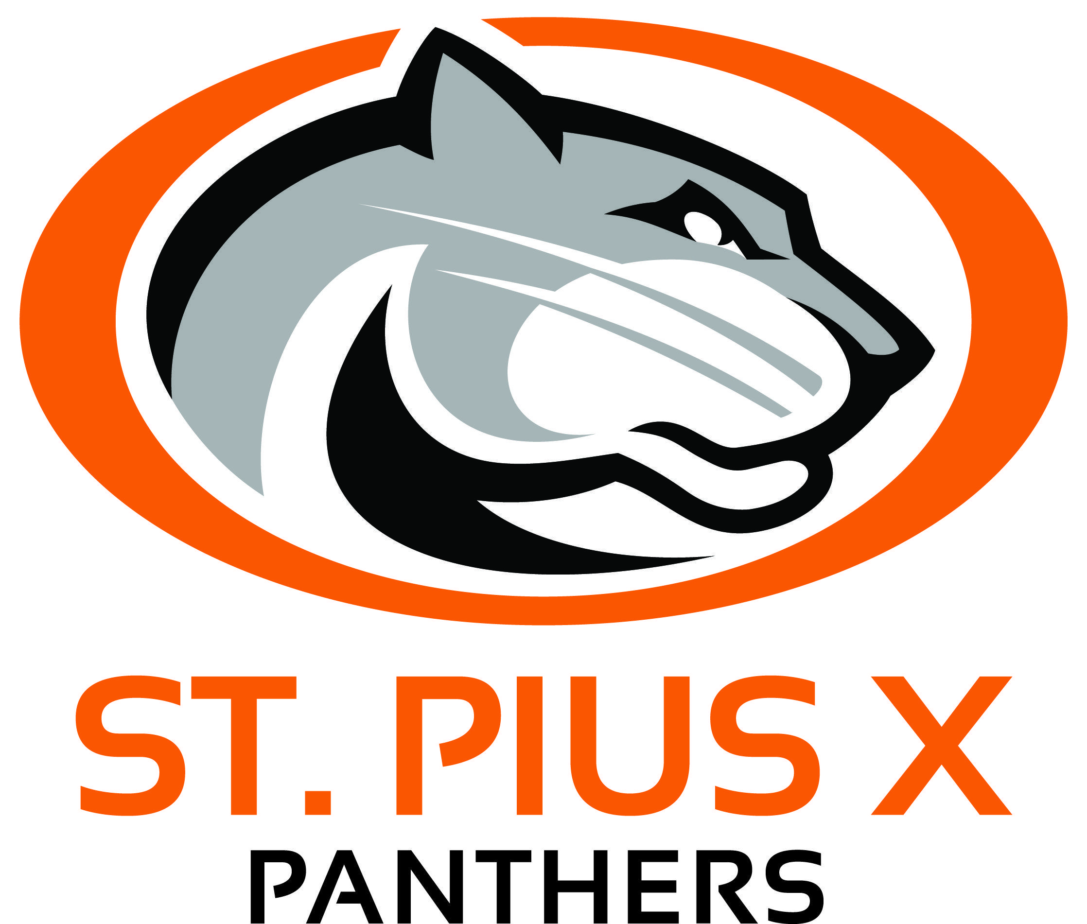 Brand X Logo - Brand Guide - St. Pius X High School