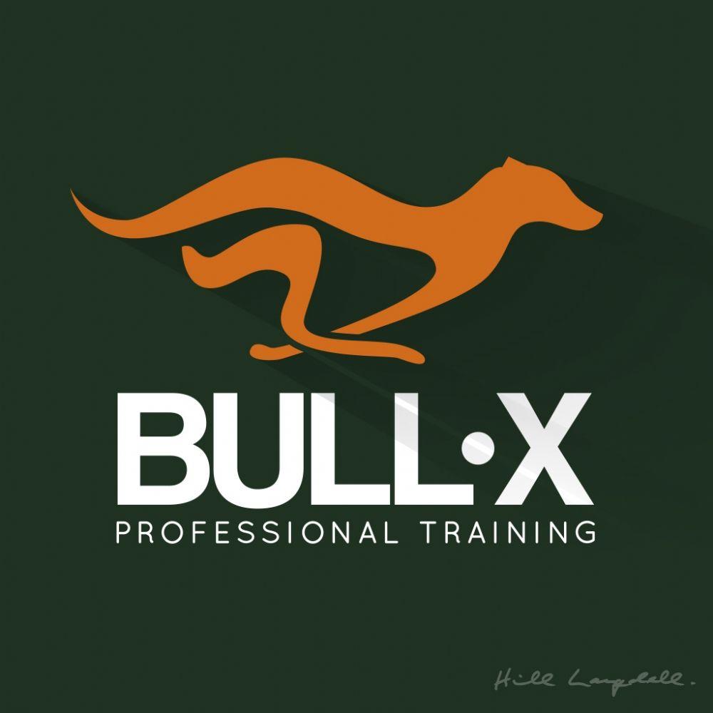 Brand X Logo - Hill Langdell | Brand and Logo Design for Bull-X - Showcase - Hill ...