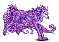 White and Purple Wolf Logo - Wolves image Purple Wolf wallpaper and background photo