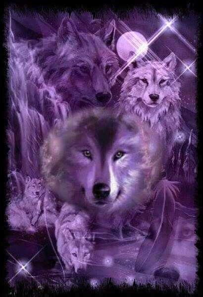 White and Purple Wolf Logo - Purple wolves | wolves | Wolf, Wolf pictures, Beautiful wolves