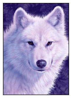 White and Purple Wolf Logo - Greeting Card Wolf Gaze. The Magickal Cat Online Pagan