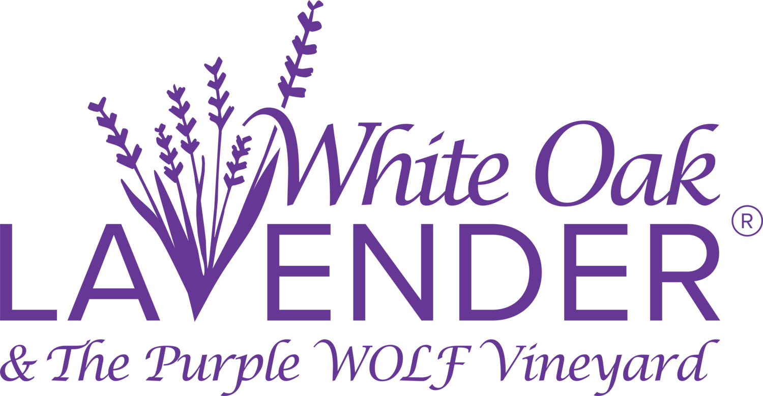 White and Purple Wolf Logo - Shop — White Oak Lavender & The Purple WOLF Vineyard