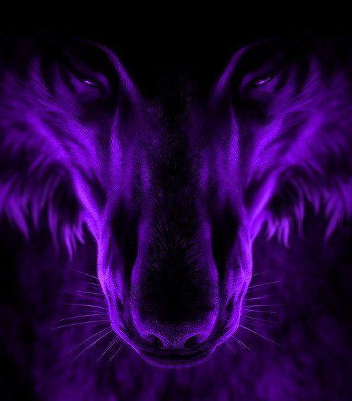 White and Purple Wolf Logo - PURPLE WOLF grrrrrrrrrrrrrr | it's a PURPLE thing! | Wolf, Wolf ...