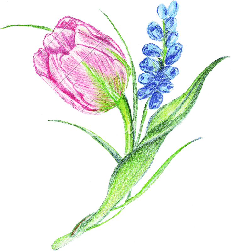 Crayon Flower Logo - Crayon Flower