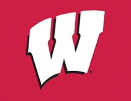 University of Wisconsin Logo - University of Wisconsin Blinds Badgers Roller Shades