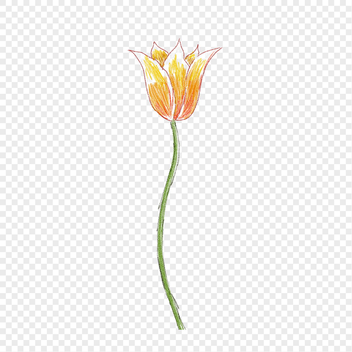 Crayon Flower Logo - Yellow flowers crayon drawing png image_picture free download