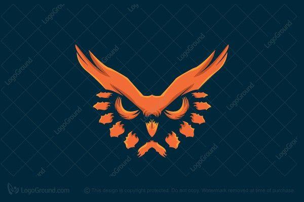 Owl Logo - Angry Owl Logo