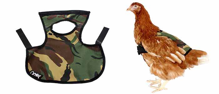 Camo Chicken Logo - Omlet's Camouflage Chicken Jacket.