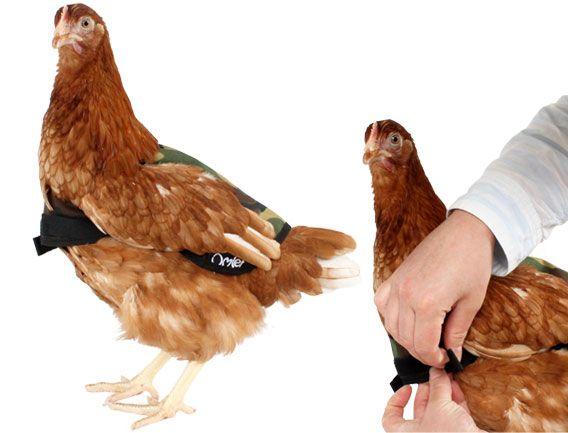 Camo Chicken Logo - Camouflage Chicken Jacket | Chicken Clothing | Chicken Coops, Walk ...