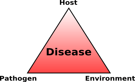 Incomplete Red Triangle Logo - Organic Farmers and the Disease Triangle - eXtension
