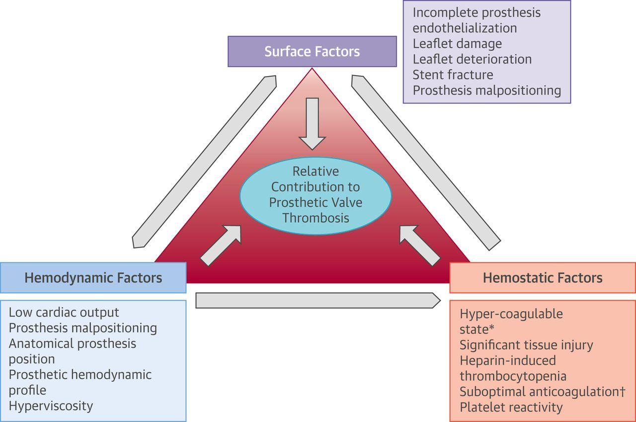 Incomplete Red Triangle Logo - Figure 2 | Prosthetic Heart Valve Thrombosis | JACC: Journal of the ...