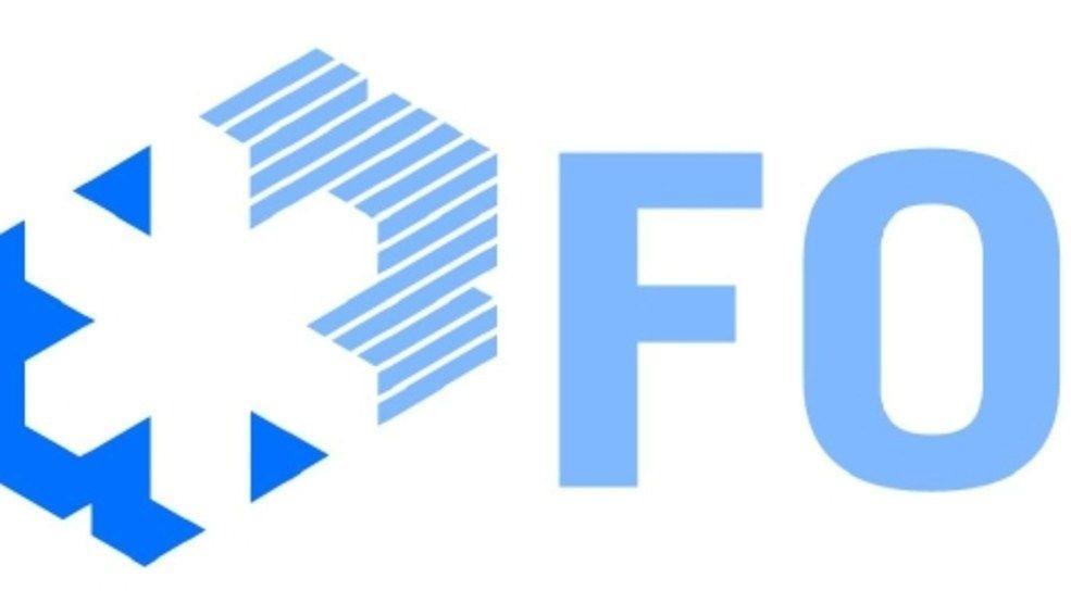 Foot with Wings Company Logo - Foot Wings Company Logo