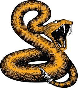 Orange Snake Logo - SNAKE Logo Vector (.EPS) Free Download