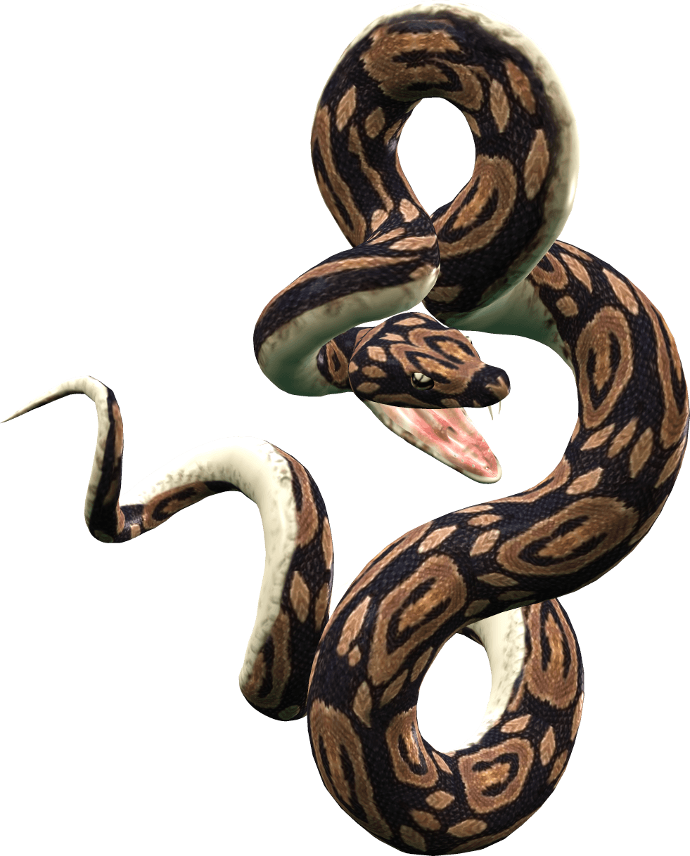 Python Snake Logo - Python Snake PNG Transparent Python Snake.PNG Images. | PlusPNG