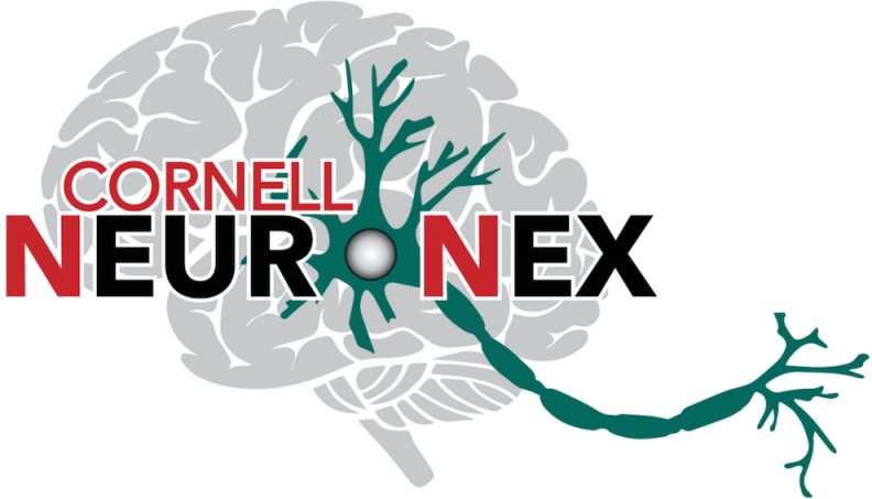 Cornell Sports Logo - Data on the brain: Cornell Neurotechnology NeuroNex Hub. Cornell