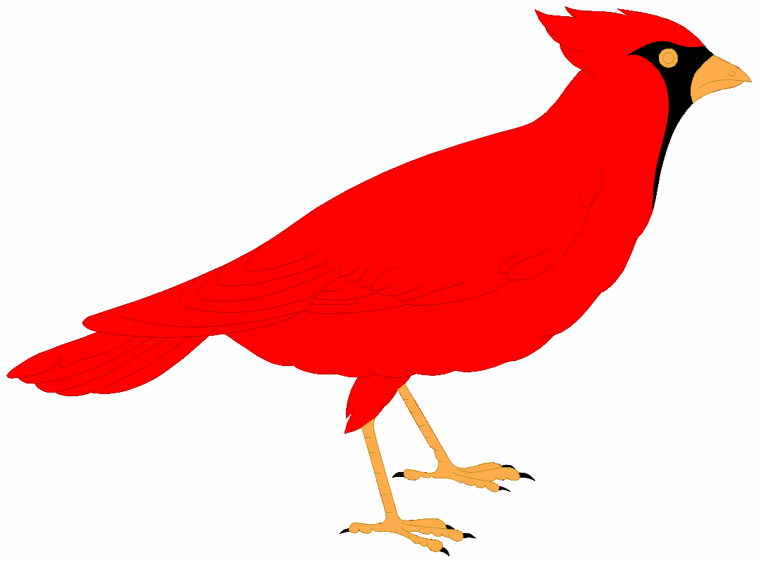 Cartoon Cardinal Logo - Free Funny Cardinal Cliparts, Download Free Clip Art, Free Clip Art ...