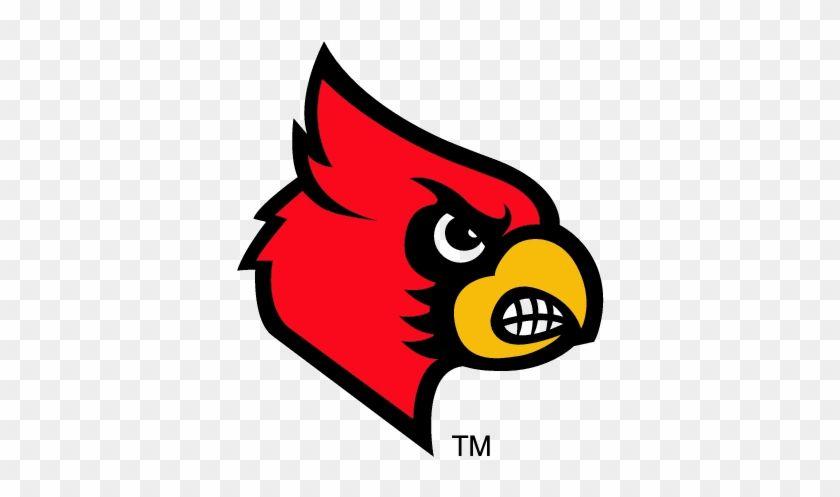 Cartoon Cardinal Logo - Sports - Louisville Cardinals Logo - Free Transparent PNG Clipart ...
