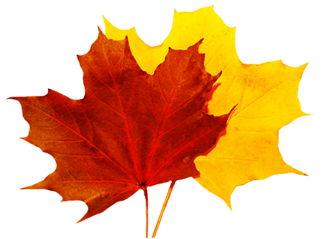 Yellow and Red Leaves Logo - Fall Leaves Clip Art - Beautiful Autumn Clipart & Graphics