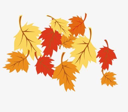 Yellow and Red Leaves Logo - Hand Painted Leaves, Leaves, Red Leaves, Yellow Leaves PNG Image