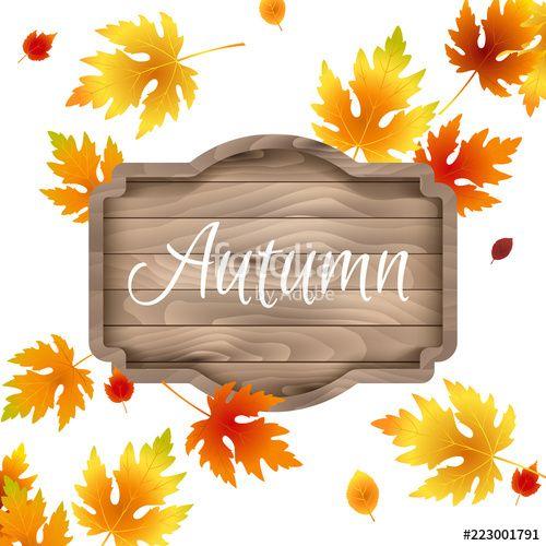 Yellow and Red Leaves Logo - Autumn, fall design template, label. Red, yellow maple leaves
