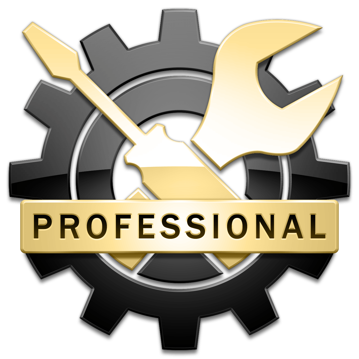 Professional Mechanic Logo - Iolo Technologies System Mechanic Professional