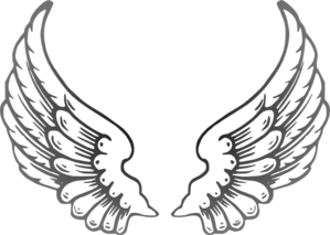 Hawk Wing Logo - Hawk Wing Clipart