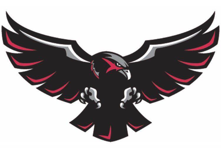 Hawk Wing Logo - Mark Laster new Logos. The full Hawk is our