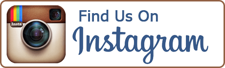 Like Us On Instagram Logo - Wild Things