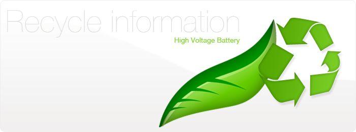 Hybrid Battery Logo - Lexus Service Information