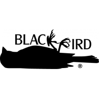 Black Bird Logo - Black Bird Logo Vector (.AI) Free Download