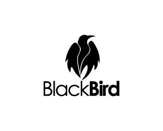 Black Bird Logo - BlackBird Designed