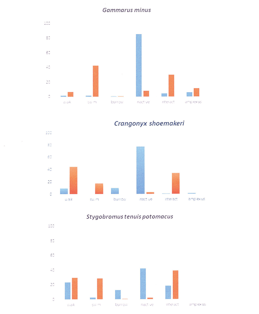 Three Blue Bars Logo - Relative frequency of different behaviors of the three species