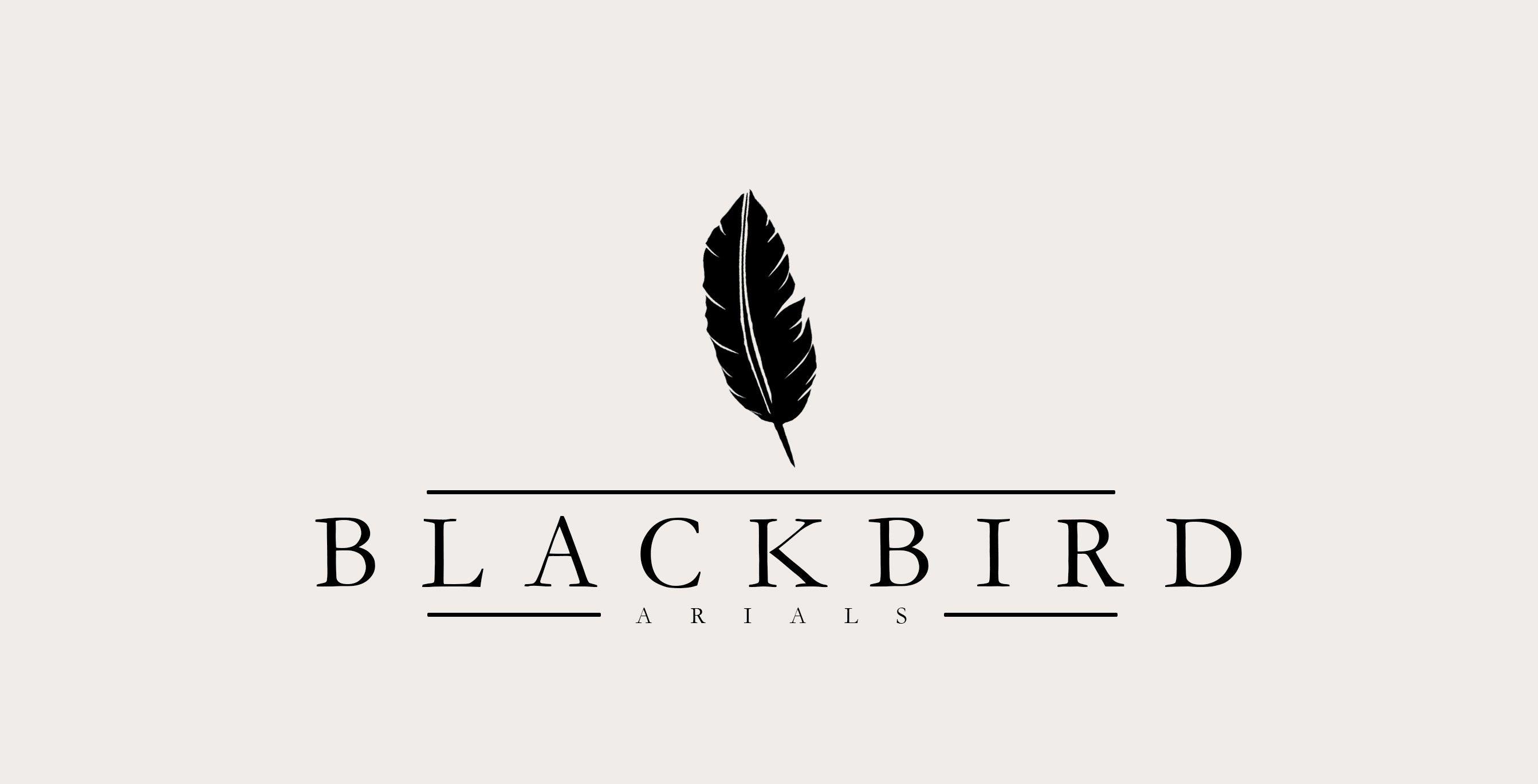 Black Bird Logo - Black bird Logos