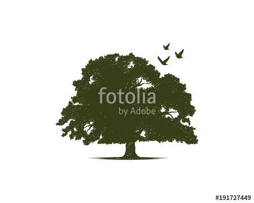 Tree Bird Logo - Green Oak Tree with Flying Bird Illustration Hand Drawing Symbol