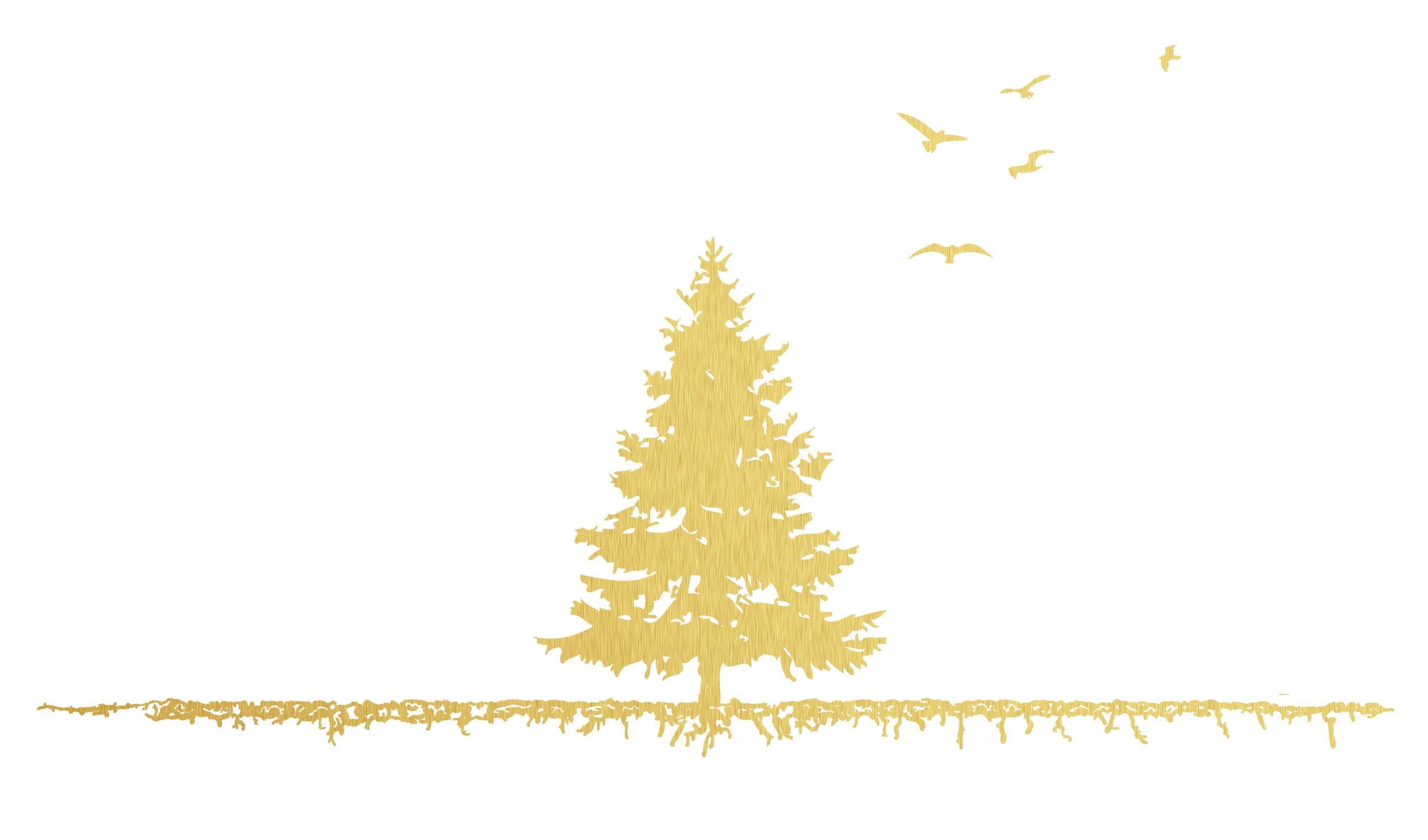 Tree Bird Logo - Tree+Bird-logo – Tannenbaum Design Group