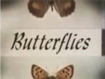 TV Butterfly Logo - Butterflies (TV series)