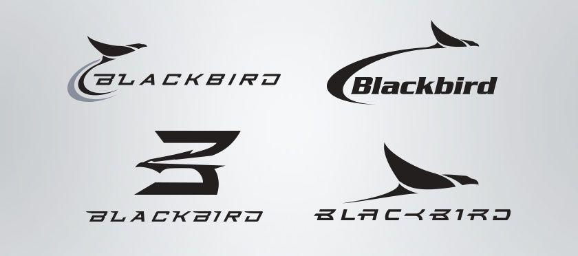 Black Bird Logo - Blackbird Logo Design – |drive|