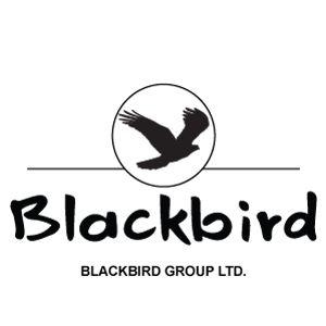 Black Bird Logo - Blackbird Group Ltd Yacht Charter - Blackbird Group Ltd.