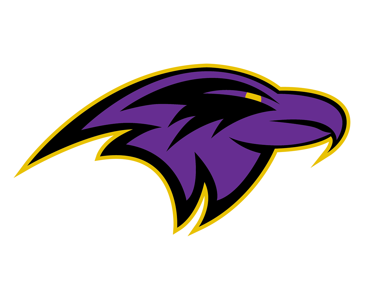 Ravens Logo - Baltimore Ravens Logo Concept on Behance