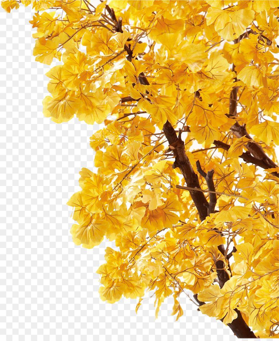 Blue Yellow Leaf Logo - Autumn Yellow Leaf Deciduous Poster - Autumn leaves png download ...