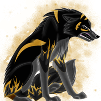 Black and Gold Wolf Logo - Black And Gold Wolf