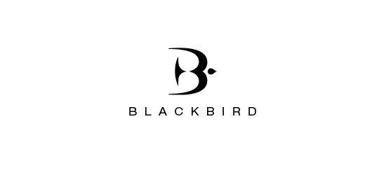 Black Bird Logo - 27 Best Logos of January 2014 | iBrandStudio | VERBICON