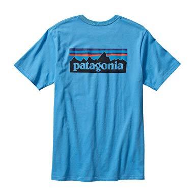 Who Has a Blue P Logo - Patagonia P 6 Logo T Shirt Skipper Blue Small, Skipper Blue: Amazon