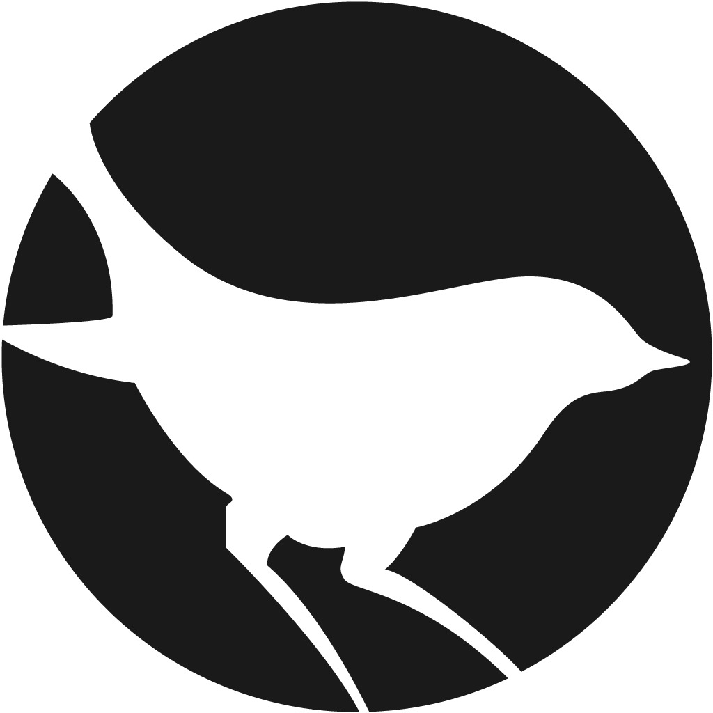 Black Bird Logo - Cleveland Website Design and Digital Marketing Agency - Blackbird