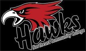 Red and Black Hawk Logo - HAWKS SPORTS – The Official Radio and TV Station of Northeast ...