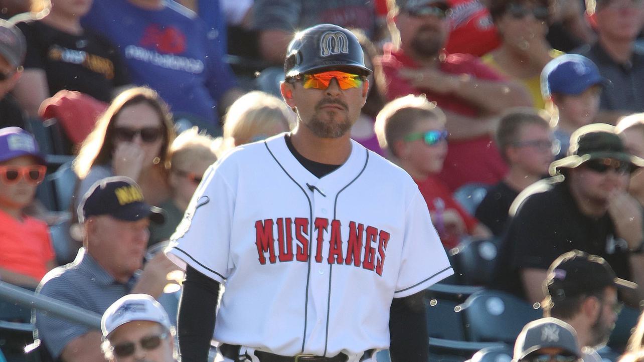 Billings Mustangs Logo - Billings Mustangs | MiLB.com