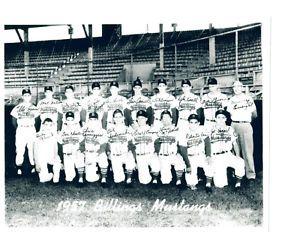 Billings Mustangs Logo - BILLINGS MUSTANGS 8X10 TEAM PHOTO BASEBALL MONTANA