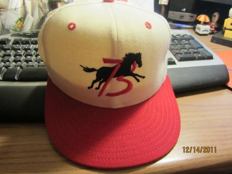 Billings Mustangs Logo - Lilmoxie — Billings Mustangs Minor Baseball 7 1/2 Fitted Hat New Era ...