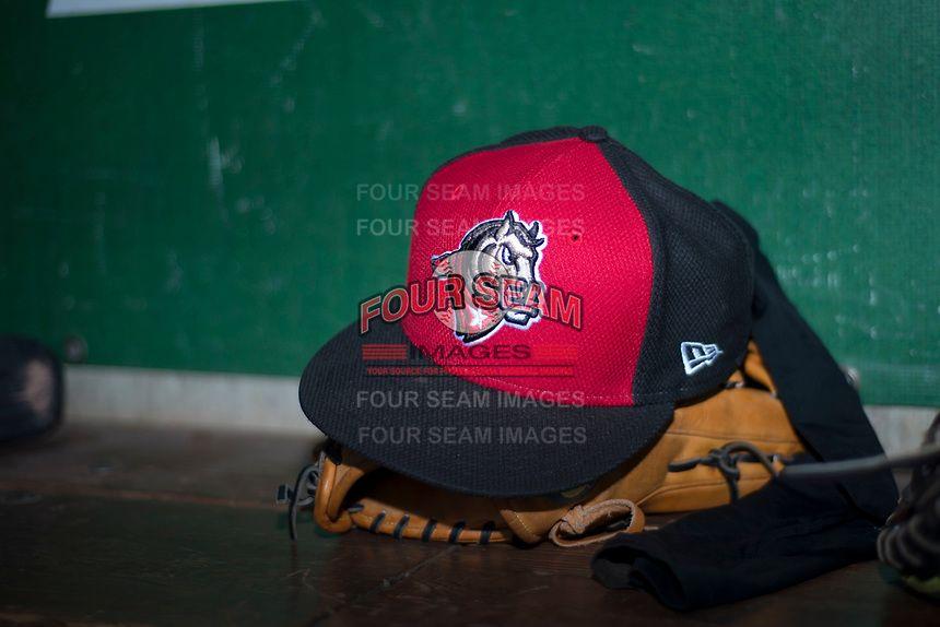 Billings Mustangs Logo - MiLB Billings Mustangs Ogden Raptors Baseball. Four Seam Image