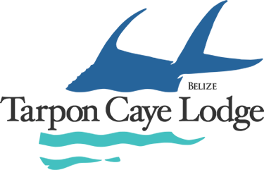 Uncommon Fishing Logo - Fly Fishing for Permit, Tarpon & Bonefish in Belize Caye Lodge